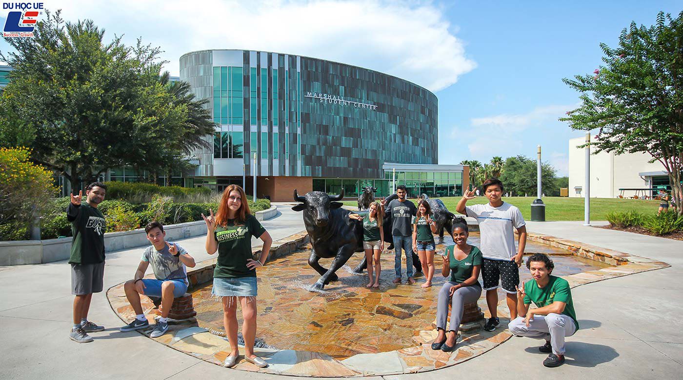 Du học dễ dàng tại Mỹ với học bổng từ University Of South Florida