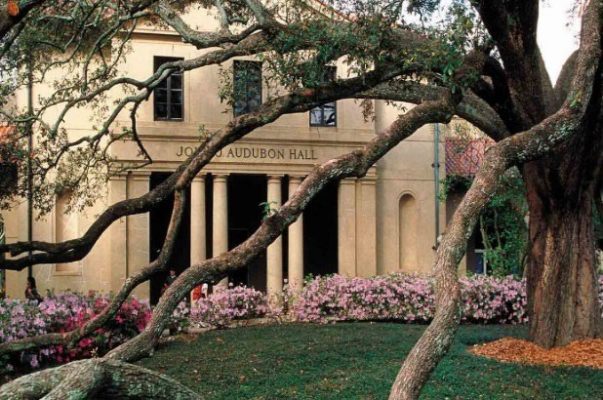 ĐẠI HỌC BANG LOUISIANA - LOUISIANA STATE UNIVERSITY 26 Picture2