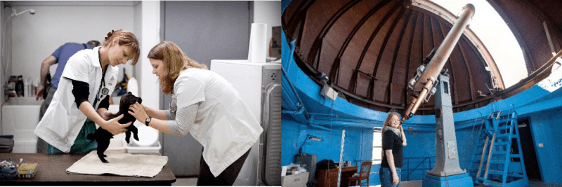 ĐẠI HỌC BANG LOUISIANA - LOUISIANA STATE UNIVERSITY 27 Picture3