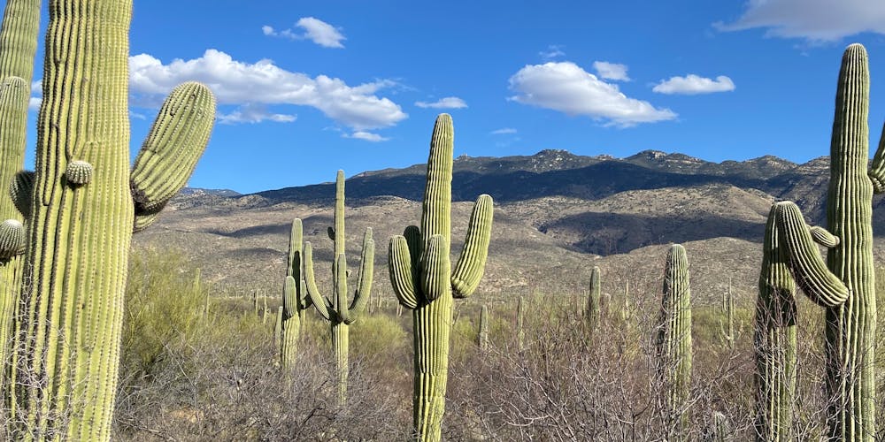 Trường Đại học Arizona State University