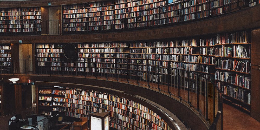 Khám Phá Trường Pace University