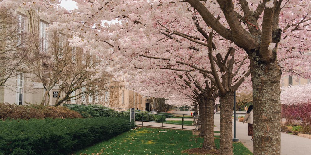 Du Học Các Nước 22 truong capilano university 67233b7c8ddb4 2