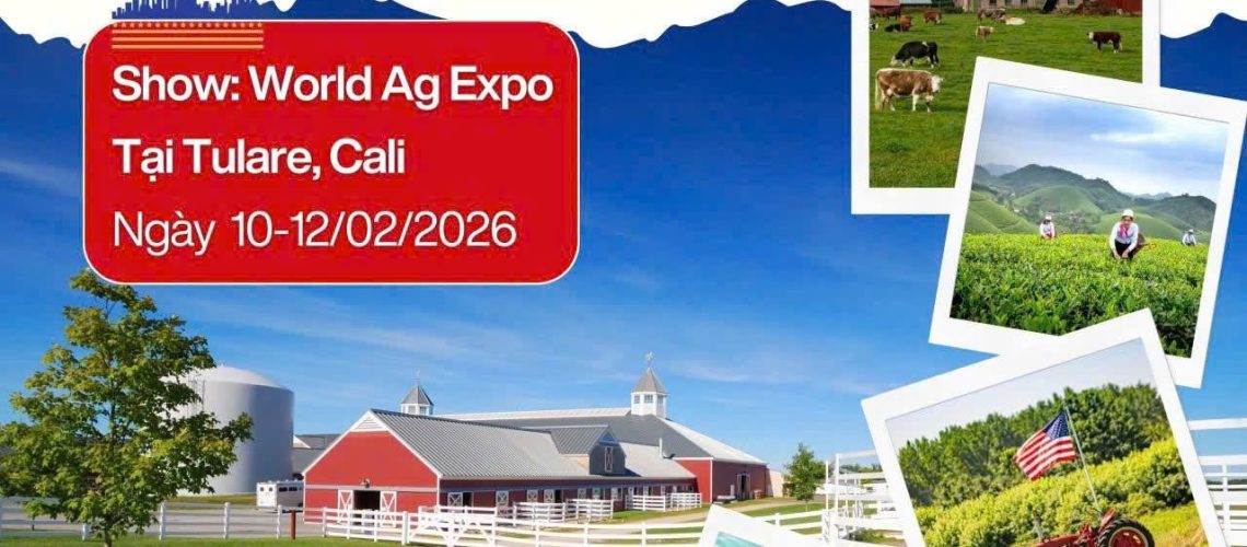 377fc3cbeb9464ca3d85