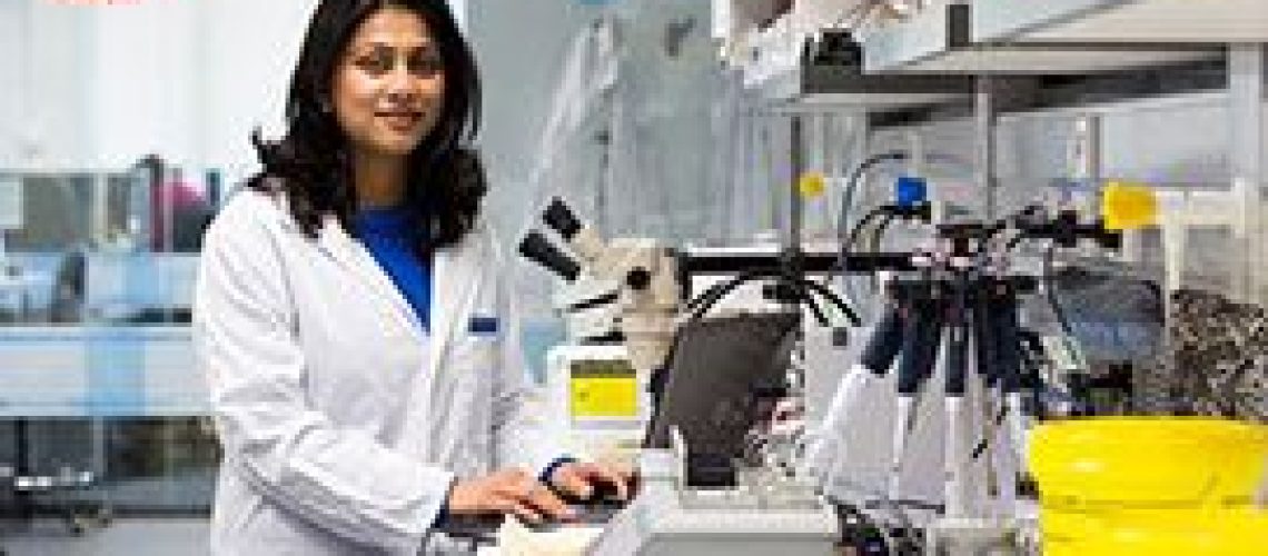 Tim-hieu-ve-chuong-trinh-hoc-tien-si-o-New-Zealand-2