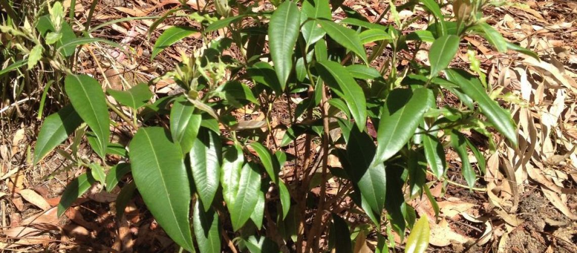 motsoloairauquanhatdinhphainemquakhidenuc