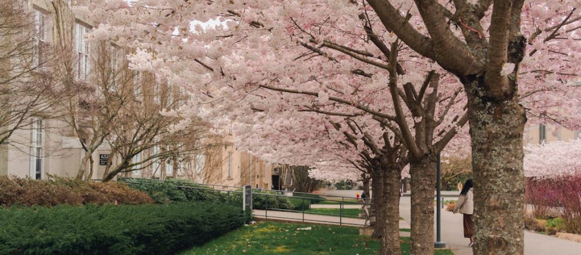 truong-capilano-university-67233b7c8ddb4